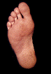 Left Foot