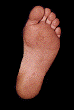 Right Foot